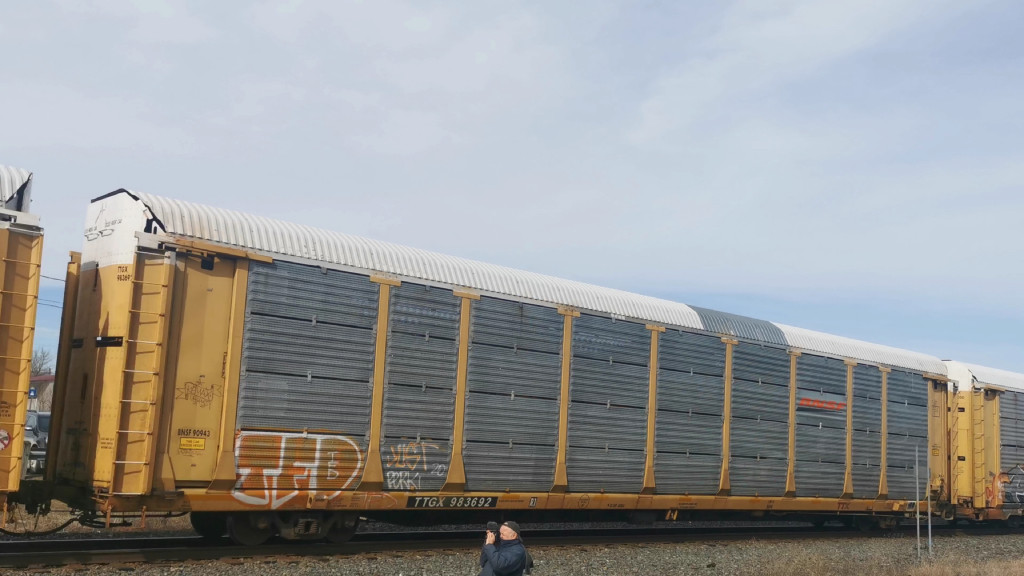 BNSF 90943 (Body) TTGX 983692 (Flat)